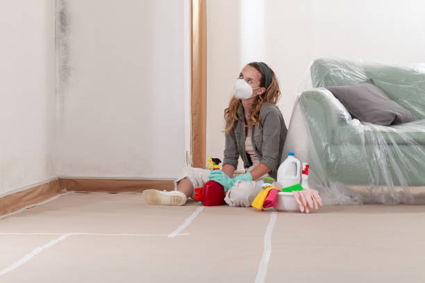 Reliable Commercial Mold Remediation contractor in Winthrop, MN by WQB Mold Removal